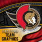 Franklin® GFM 1500 NHL Senators Goalie Face Mask - image 3