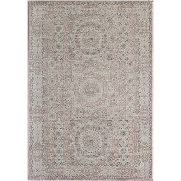 Rugs America(tm) Hailey Pink Lemonade Transitional Vintage Area Rug