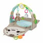 Fisher-Price&#40;R&#41; Ready to Hang Sloth Gym - image 1