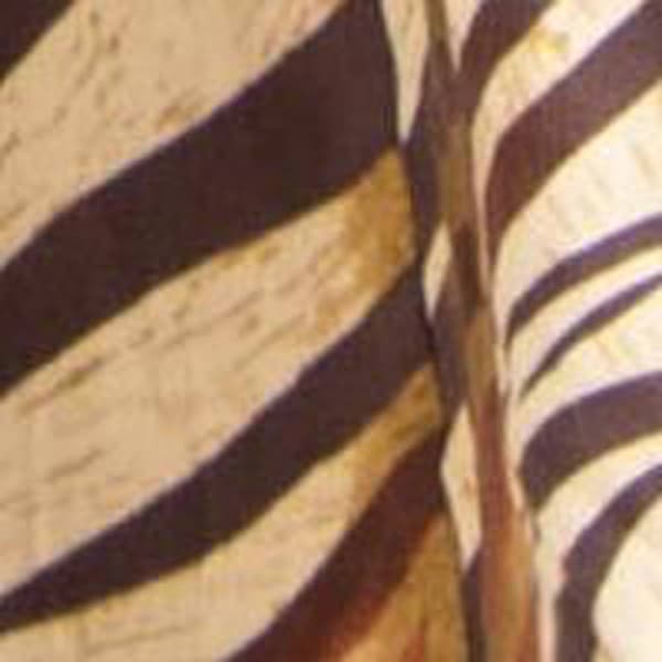 Womens 24/7 Comfort Apparel Midi Length Animal Print Belted Skirt