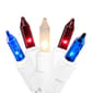Northlight Seasonal 100ct. Multi July 4th Mini Swag Light Set - image 7