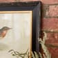 9th & Pike&#174; Pipit and Warbler Bird Wall Art - Set of 2 - image 3