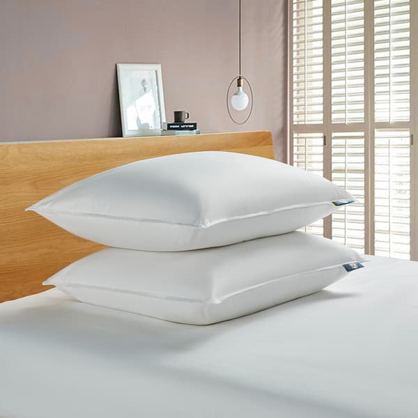 Serta&#40;R&#41; 233 TC Goose Feather Down Fiber Back Sleeper Pillows