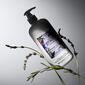 Philosophy Amazing Grace Lavender Body Emulsion - image 3
