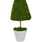 Northlight Seasonal Artificial Reindeer Moss Potted Topiary Tree - image 3