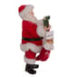 Kurt S. Adler 10.5in. Santa With Adopt-A-Pet Garland Figurine - image 3