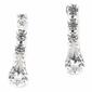 Rosa Rhinestones Pear Drop Earrings - image 1