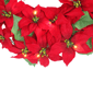 Puleo International 24in. Pre-Lit Red Poinsettia Wreath - image 4
