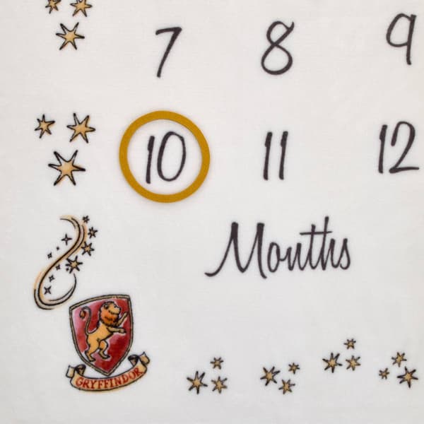 Warner Bros. Harry Potter Magical Moments Milestone Baby Blanket