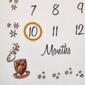 Warner Bros. Harry Potter Magical Moments Milestone Baby Blanket - image 4