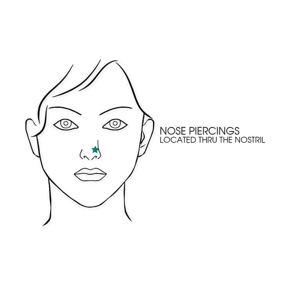 6pk. 20-Gauge Bioflex Clear Crystal Nose Set