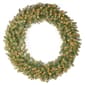 National Tree 60in. Pre-Lit LED Douglas(R) Fir Wreath - image 1