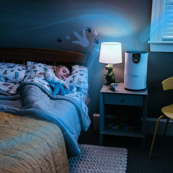 Shark® Air Purifier with True HEPA