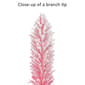 Puleo International 6ft. Pre-Lit Flocked Alpine Christmas Tree - image 6