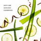 Touchland Aloe You Power Mist Hydrating Hand Sanitizer - image 3