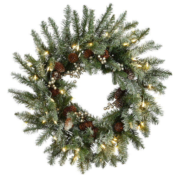 National Tree 24in. LED Snowy Morgan Spruce Wreath - image 