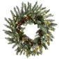 National Tree 24in. LED Snowy Morgan Spruce Wreath - image 1