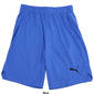 Mens Puma Shorts - image 3