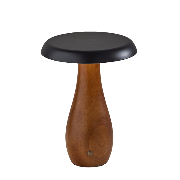 Adesso Naya Cordless LED Table Lamp with Black Metal Shade - image 