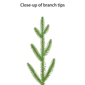 Puleo International Pre-Lit Potted Arctic Fir Christmas Tree - image 6