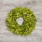 Northlight Seasonal 11in. Artificial Green Foliage Spring Wreath - image 2