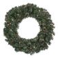 Northlight Seasonal 24in. Canadian Pine Christmas Wreath - image 1