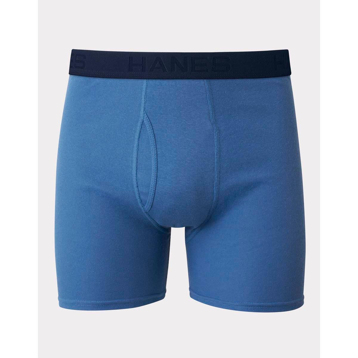 Mens Hanes Ultimate® 5pk. Boxer Briefs - Blue/Multi