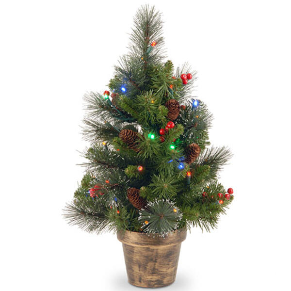 National Tree 2ft. Crestwood&#40;R&#41; Pre-Lit LED Lit Spruce Tree - image 