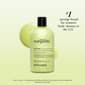 Philosophy Senorita Margarita Hydrating Shower Gel - image 3