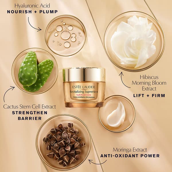 Estée Lauder™ Advanced Night Repair Skincare Gift Set