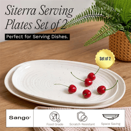 Sango Siterra 2pc. Speckled Stoneware Large Serving Platters Set