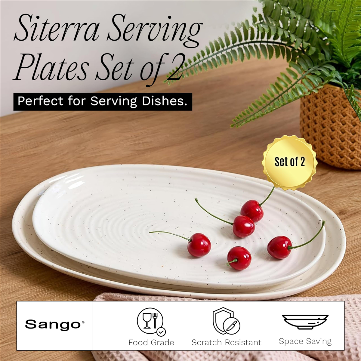 Sango Siterra 2pc. Speckled Stoneware Large Serving Platters Set