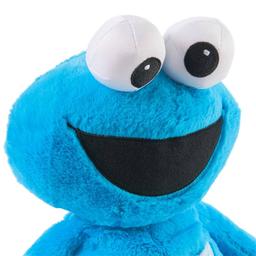 Spin Master Sesame Street® Oh-So-Snuggly Cookie Monster Plush
