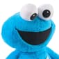 Spin Master Sesame Street® Oh-So-Snuggly Cookie Monster Plush - image 3