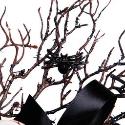 Northlight Seasonal 24in. Halloween Eyeballs & Spiders Wreath