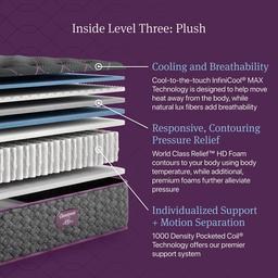 Beautyrest World Class Level 3 Plush Mattress