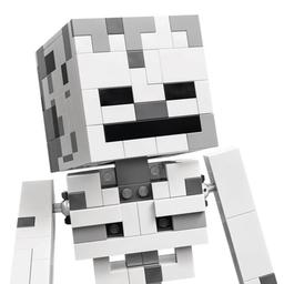 LEGO® Minecraft® The Skeleton Building Kit