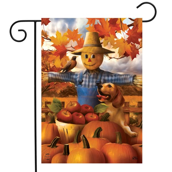 Briarwood Lane Autumn Scarecrow Harvest Garden Flag - image 