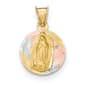Gold Classics(tm) 14kt. Lady of Guadalupe Circle Pendant - image 1