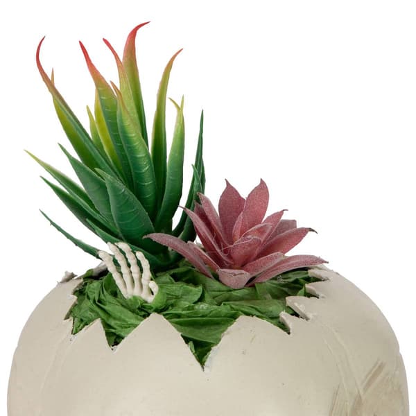 Northlight Seasonal 8.75in. LED Succulent Skull Planter