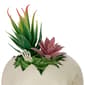 Northlight Seasonal 8.75in. LED Succulent Skull Planter - image 6