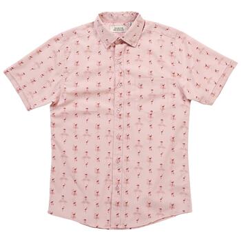 Mens North Hudson Flamingo Tuckless Button Down Shirt - Boscov's