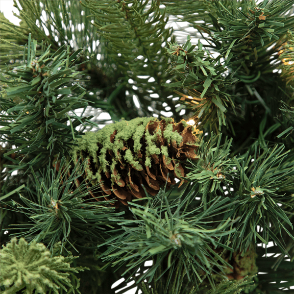 Northlight 32in. Clear LED Mossy Cashmere Pine Christmas Wreath