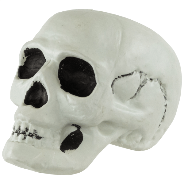 Northlight Bag of Skulls Halloween Decorations - 6in. - Set of 3