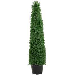 Northlight Seasonal 4ft. Artificial Boxwood Cone Topiary Tree