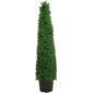 Northlight Seasonal 4ft. Artificial Boxwood Cone Topiary Tree - image 1