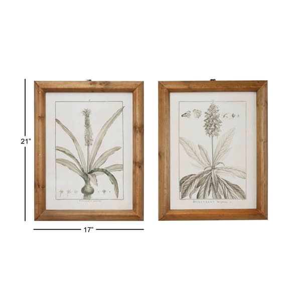 9th & Pike&#174; Large Vintage Botanical Prints - Set of 2