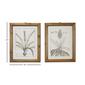 9th & Pike&#174; Large Vintage Botanical Prints - Set of 2 - image 5