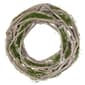 Northlight Seasonal Birch Twig Green Moss Artificial Wreath - image 1