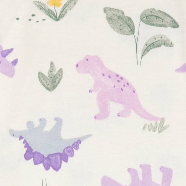Baby Girl &#40;NB-24M&#41; Carter''s&#174; 3pc. Dino Little Character Set